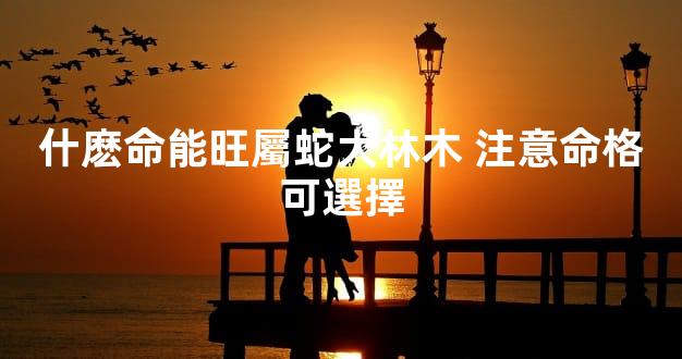 什麽命能旺屬蛇大林木 注意命格可選擇